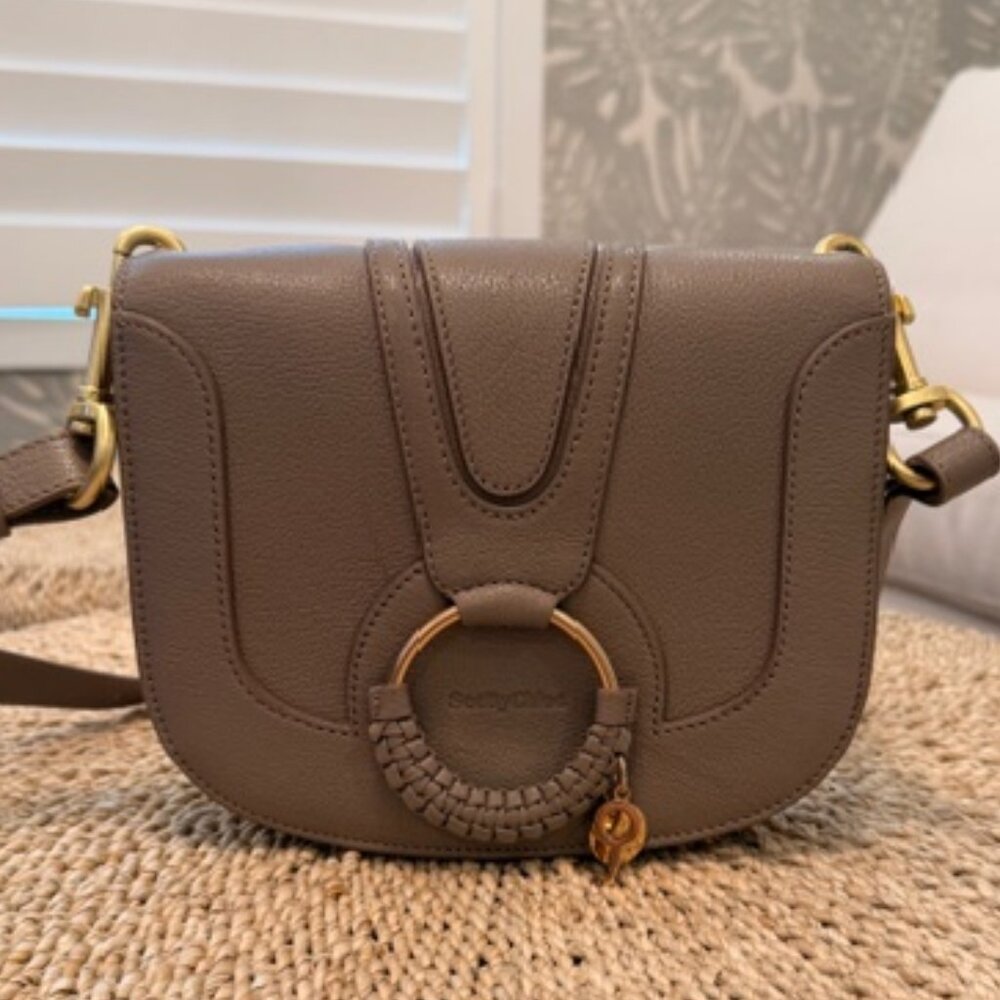 See By Chloe Mini Hana Bag Motty Gray Leather Key Crossbody Flap Messenger Bag - Picture 3 of 10